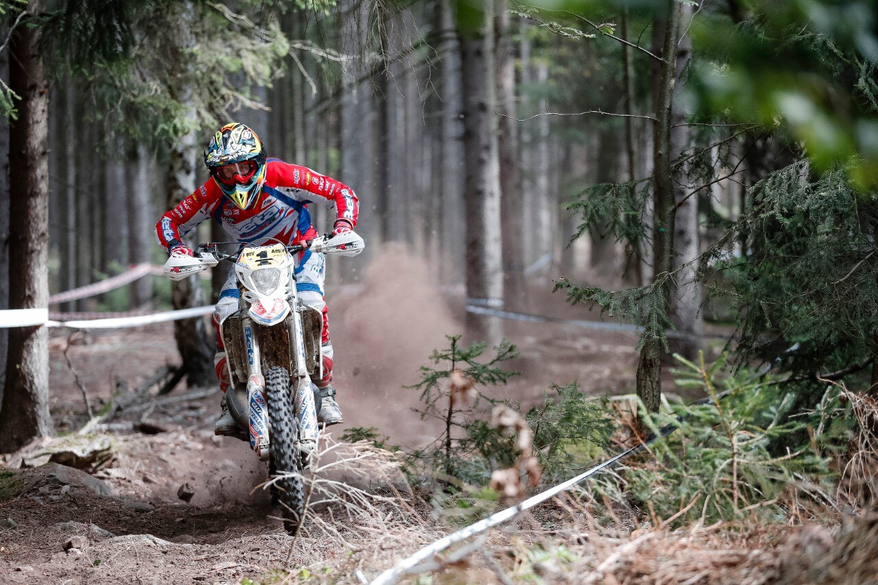 Steve Holcombe: ME LI BEVO TUTTI!